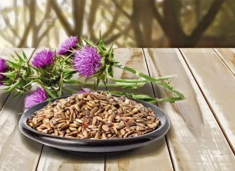 قیمت دانه گیاه خار مریم + خرید باور نکردنی